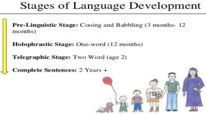 Stages_of_language_development